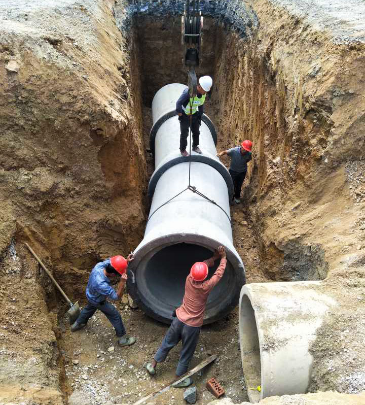 全发国际(中国)有限公司官网