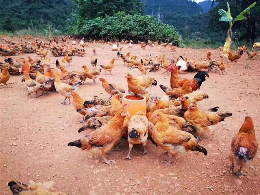 全发国际(中国)有限公司官网