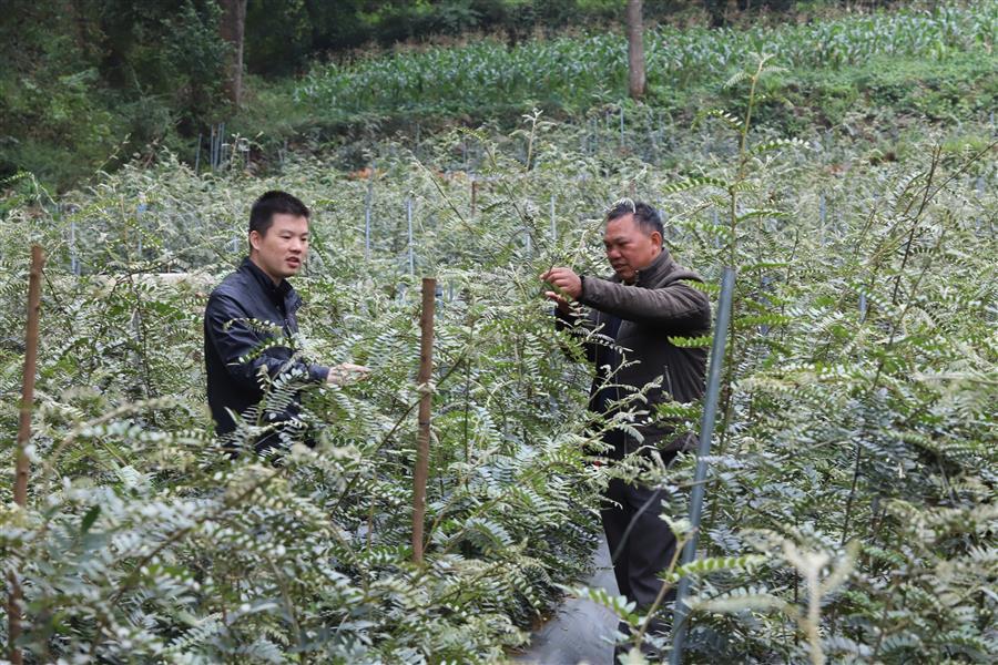 全发国际(中国)有限公司官网