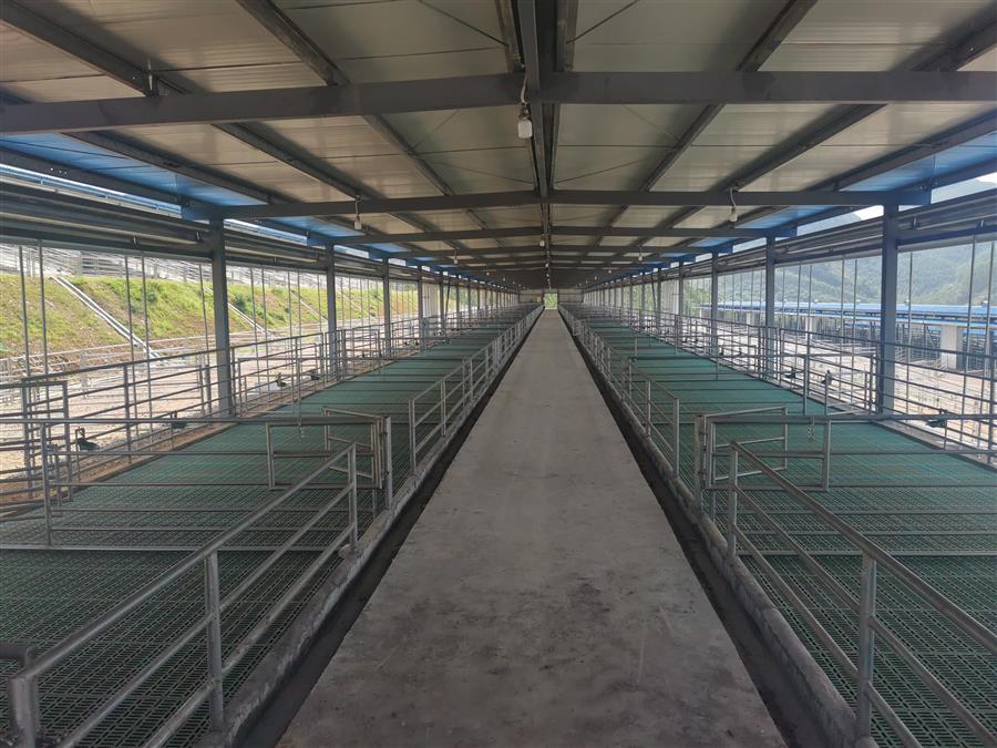 全发国际(中国)有限公司官网