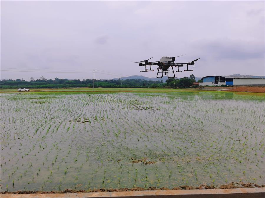 全发国际(中国)有限公司官网