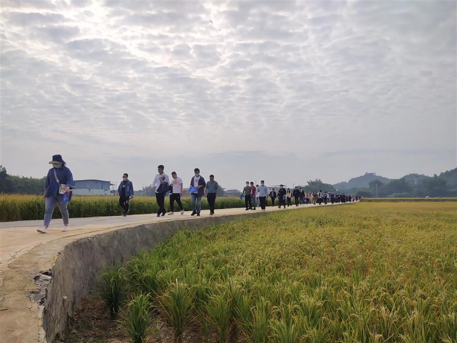 全发国际(中国)有限公司官网