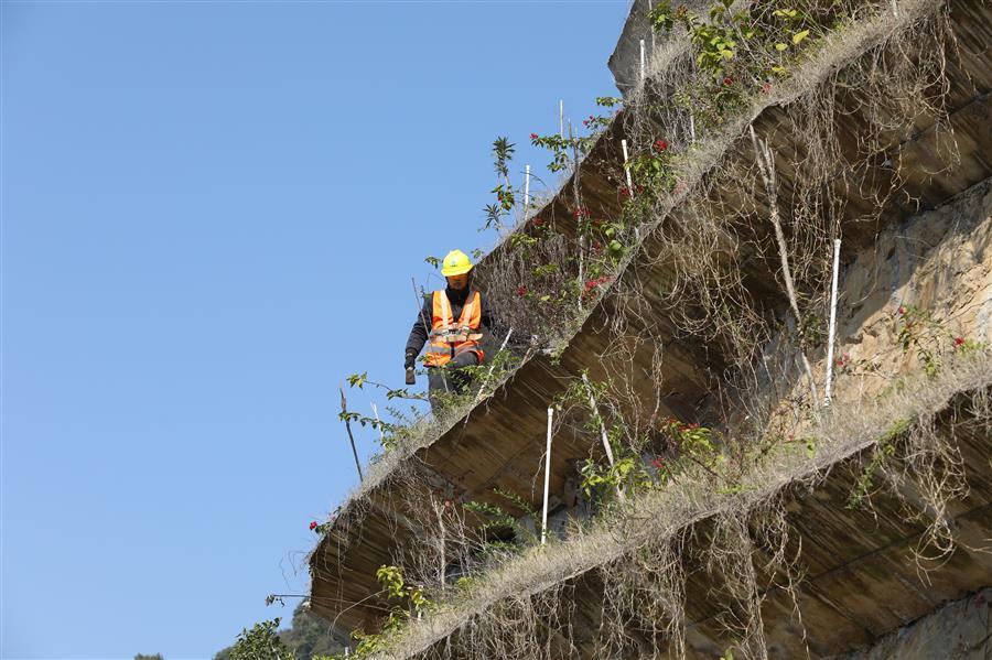 全发国际(中国)有限公司官网