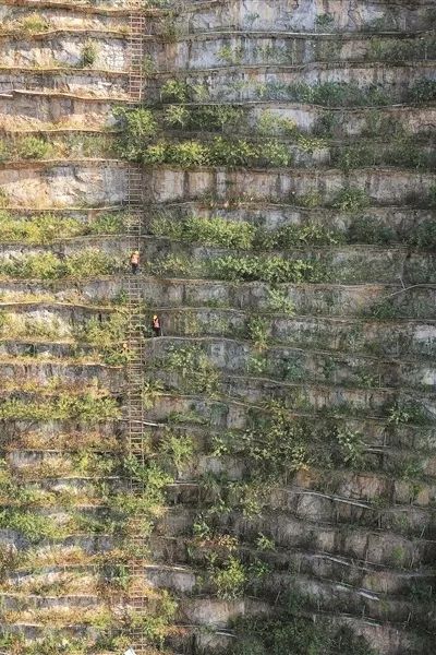 全发国际(中国)有限公司官网