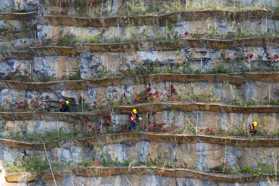 全发国际(中国)有限公司官网