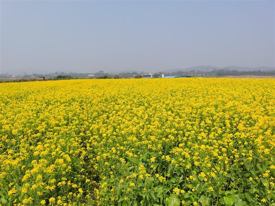 全发国际(中国)有限公司官网