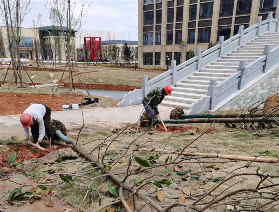 全发国际(中国)有限公司官网