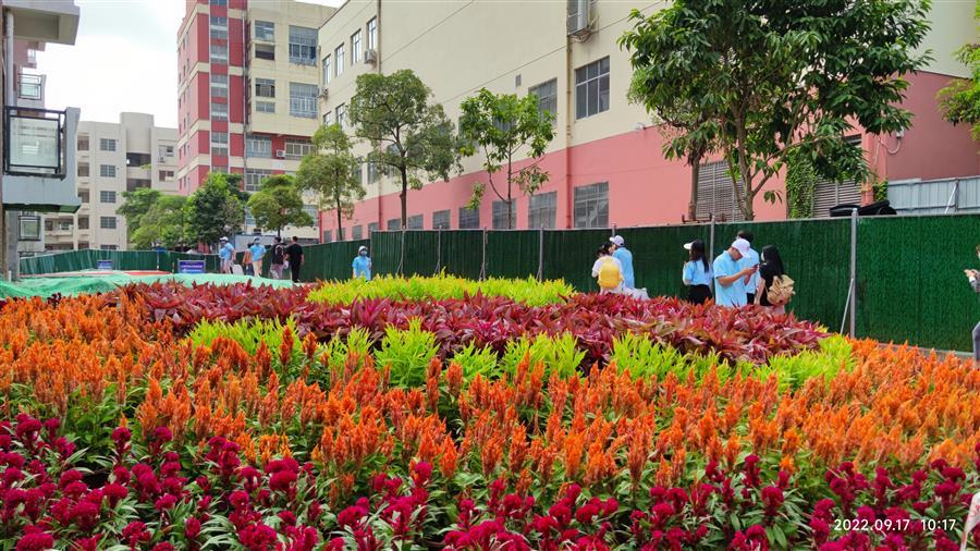 全发国际(中国)有限公司官网