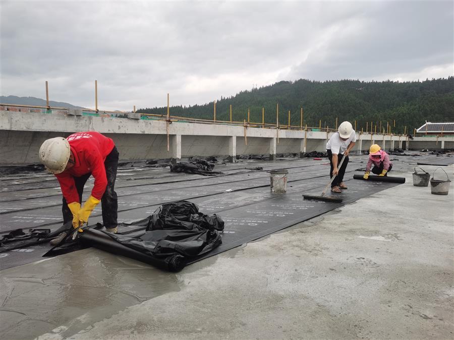 全发国际(中国)有限公司官网