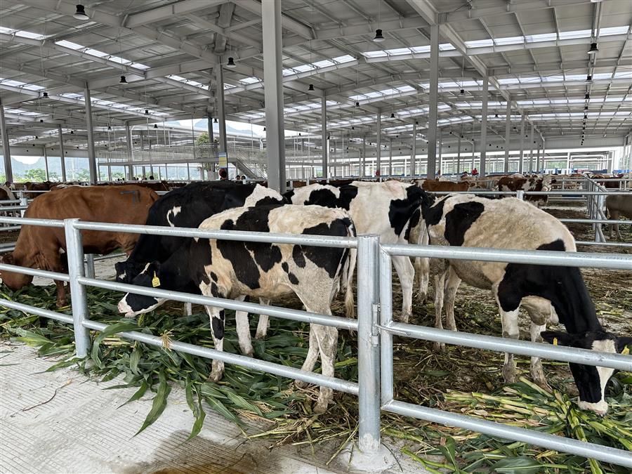 全发国际(中国)有限公司官网