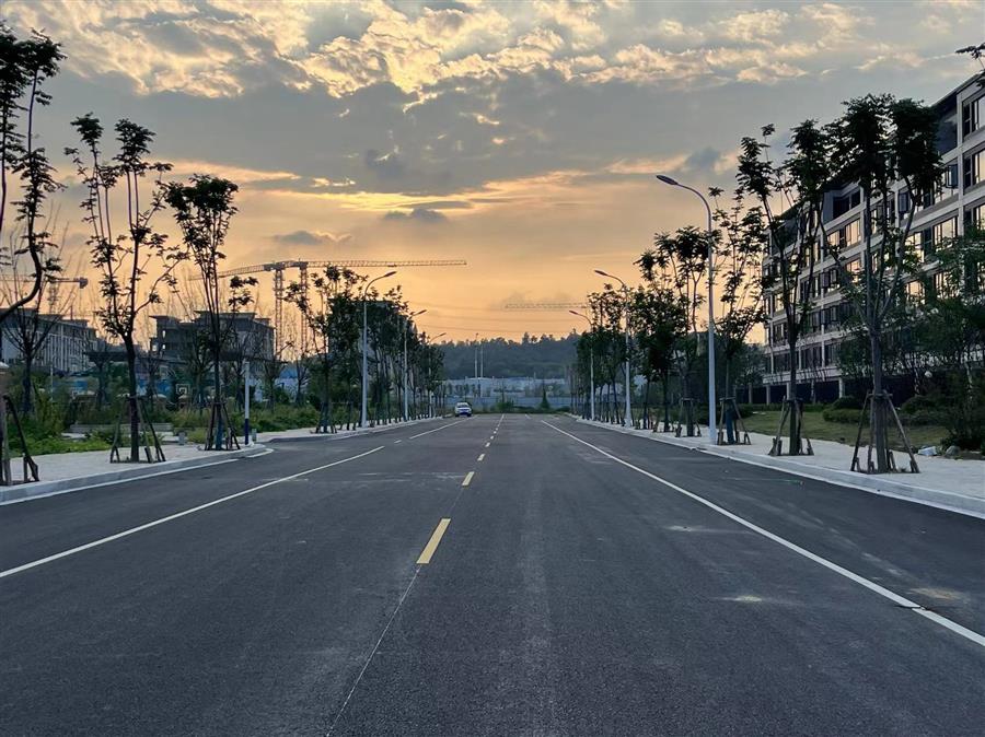 全发国际(中国)有限公司官网