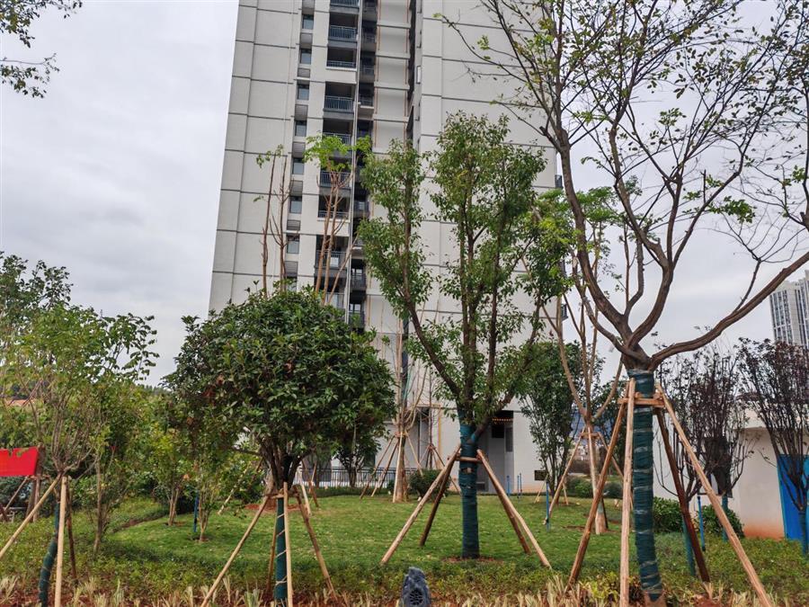 全发国际(中国)有限公司官网