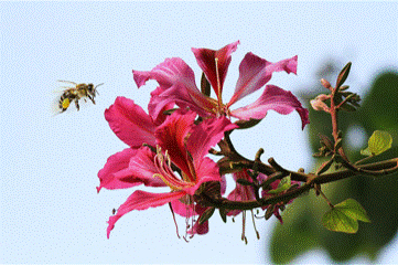 全发国际(中国)有限公司官网