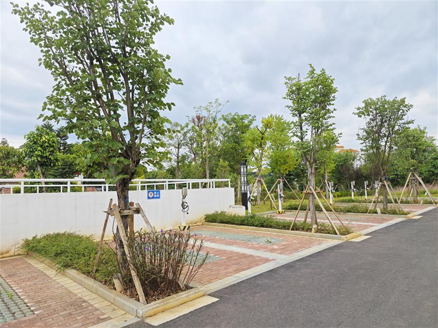 全发国际(中国)有限公司官网