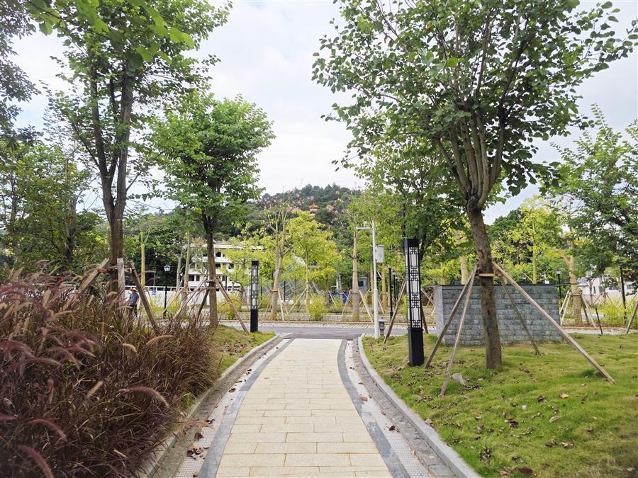 全发国际(中国)有限公司官网