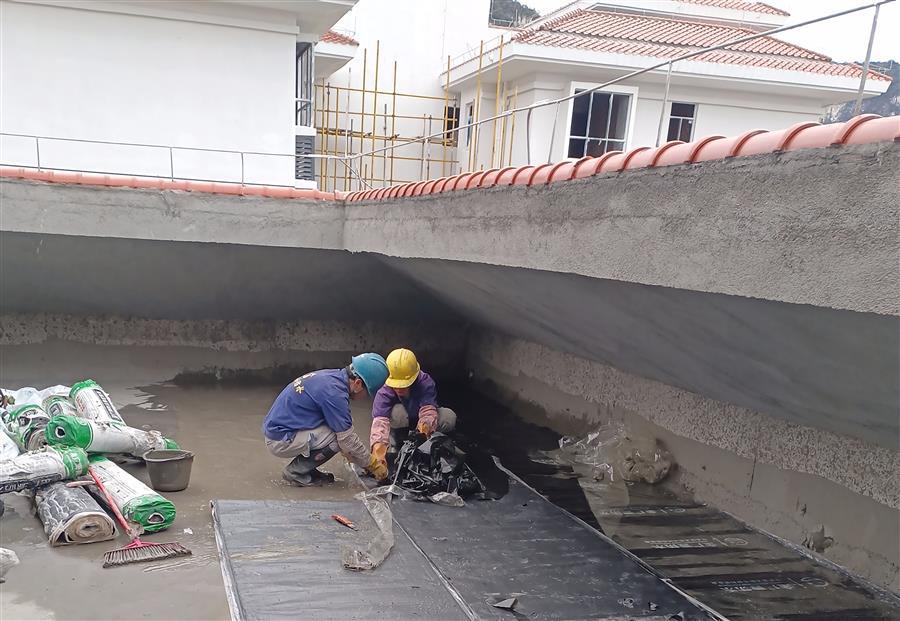 全发国际(中国)有限公司官网