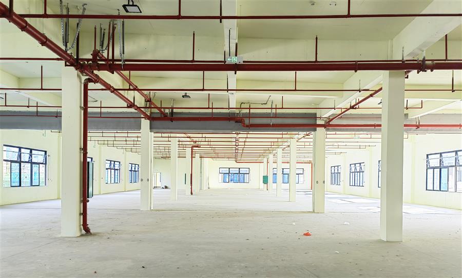 全发国际(中国)有限公司官网