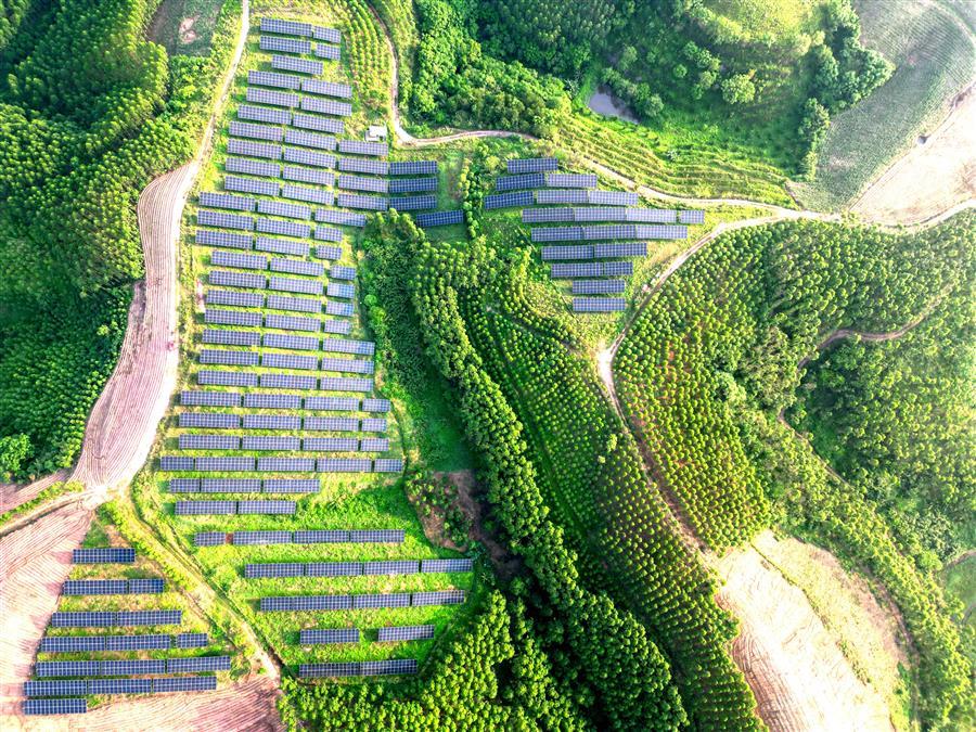 全发国际(中国)有限公司官网